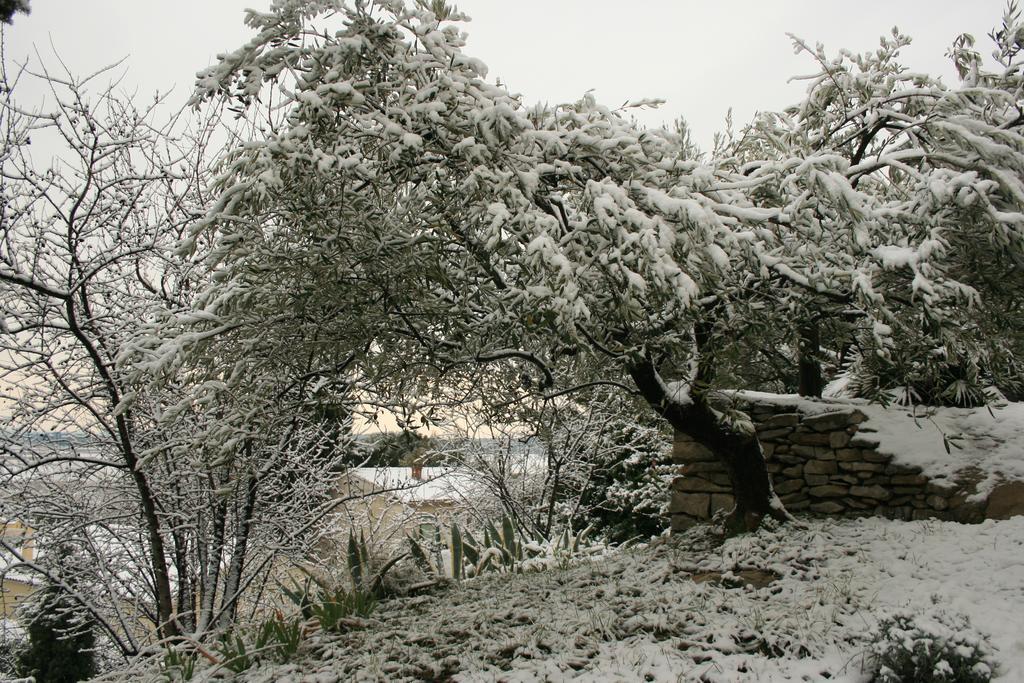 Les Amandiers Bed and Breakfast Calvisson Eksteriør billede